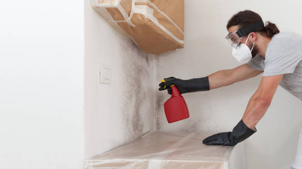 Professional Mold Testing technician working in Villanova, PA