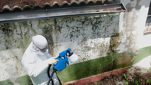 Top rated local Mold Remediation specialists in Villanova, PA